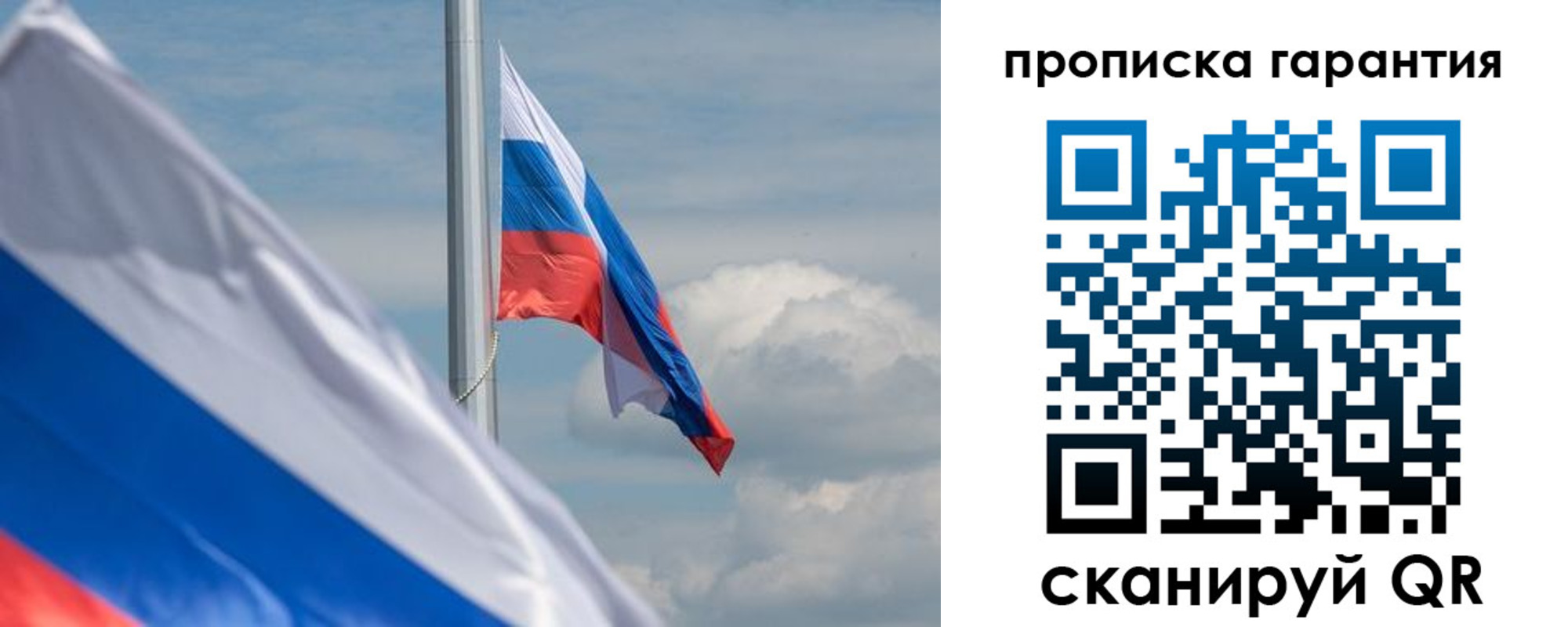 прописка поиск в Сельцо